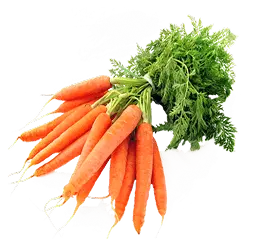 carrot 40 USD/kg