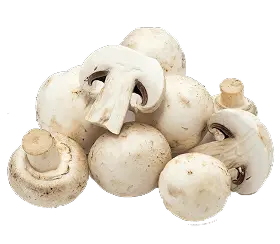 mushrooms 40 USD/kg